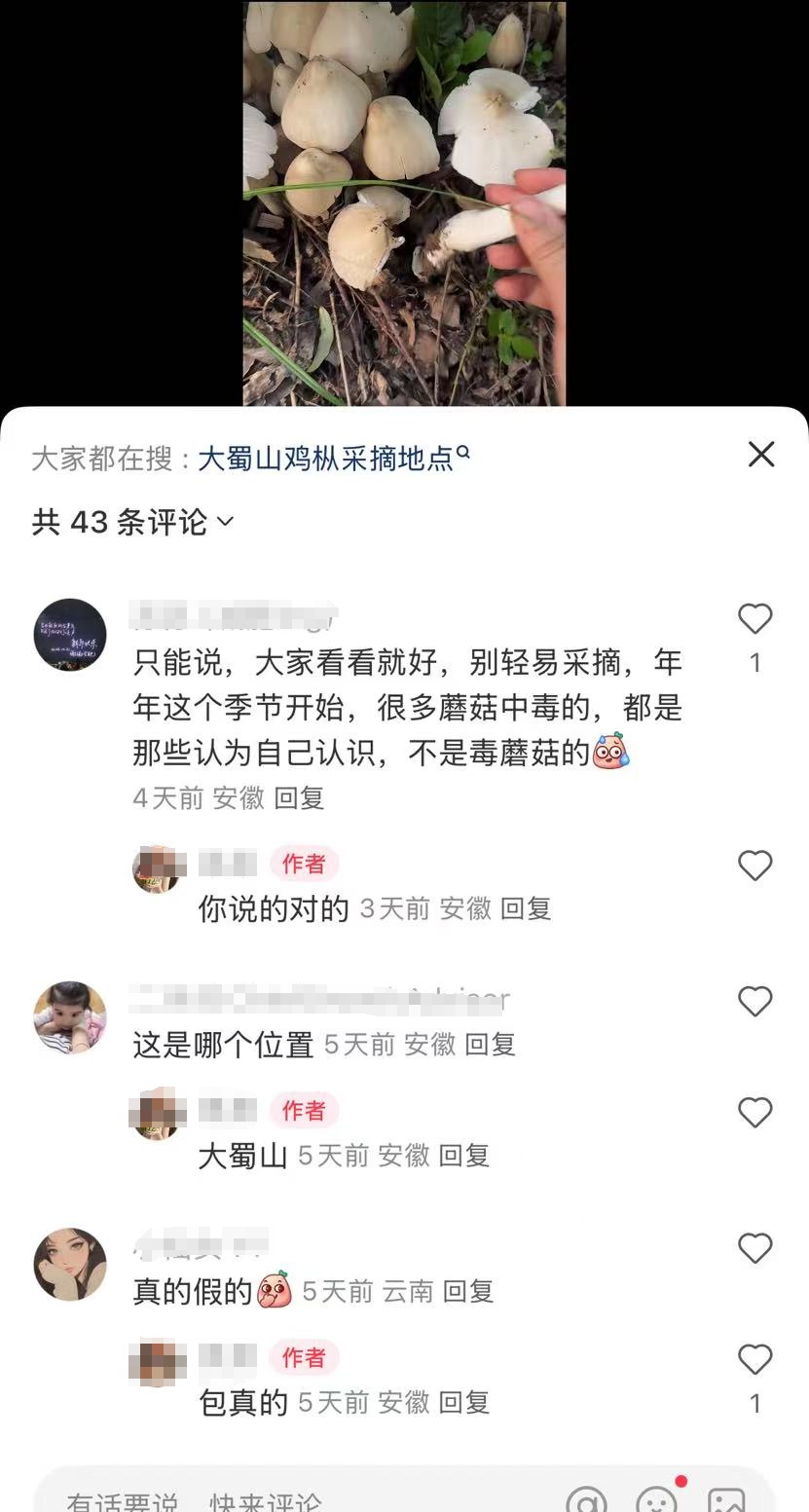 大蜀山捡蘑菇?近期疯长!官方提醒:不要随意采摘食用 大蜀山捡蘑菇?近期疯长!官方提醒:不要随意采摘食用