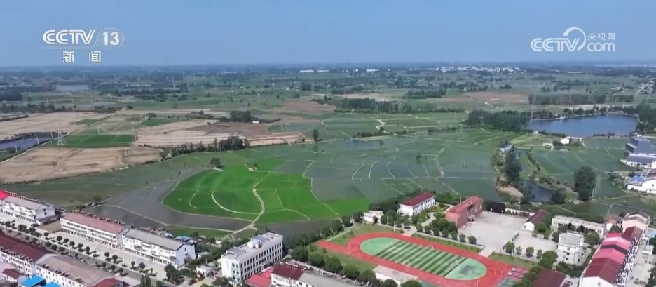 粮满仓、果飘香 希望的田野“智”绘三夏好“丰”光