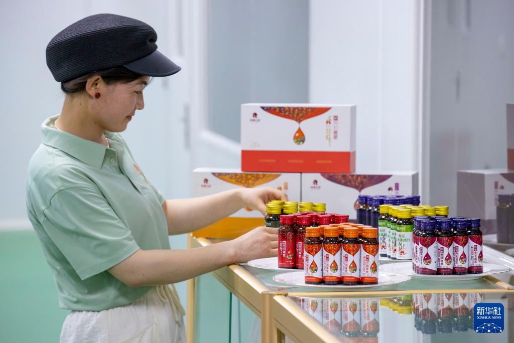 宁夏同心:黄河水润枸杞红 宁夏同心:黄河水润枸杞红