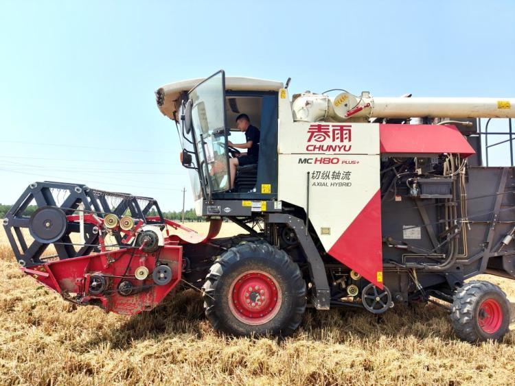 田间地头也有“星辰大海”——三位“00后”新农人的夏收故事 田间地头也有“星辰大海”——三位“00后”新农人的夏收故事