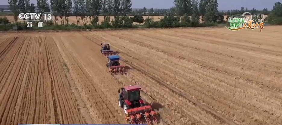 万物至盛 欣欣向荣 希望的田野上奏响丰收“欢歌” 万物至盛 欣欣向荣 希望的田野上奏响丰收“欢歌”