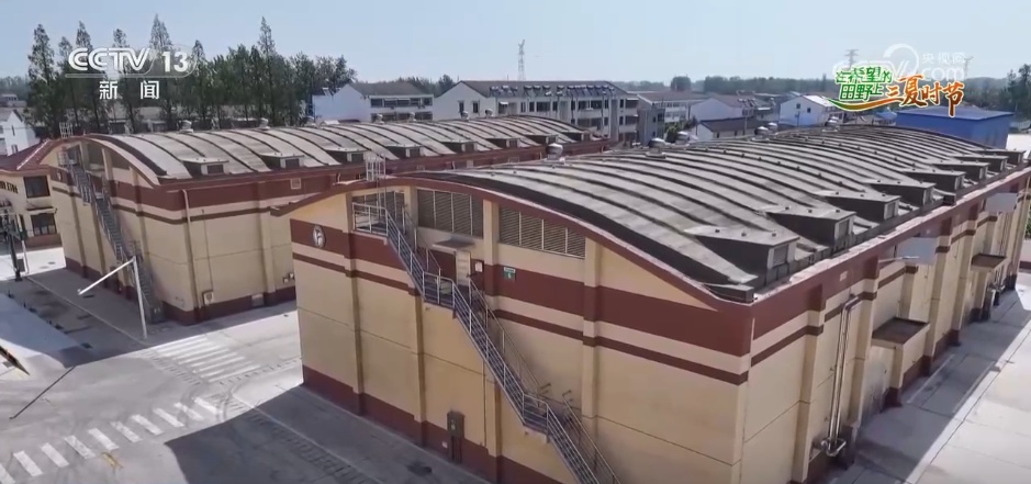 粮满仓、果飘香 希望的田野“智”绘三夏好“丰”光