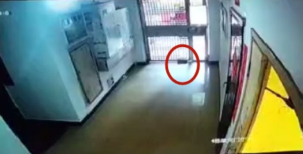 一个图省事的小动作被索赔13万余元,你可能也做过! 一个图省事的小动作被索赔13万余元,你可能也做过!