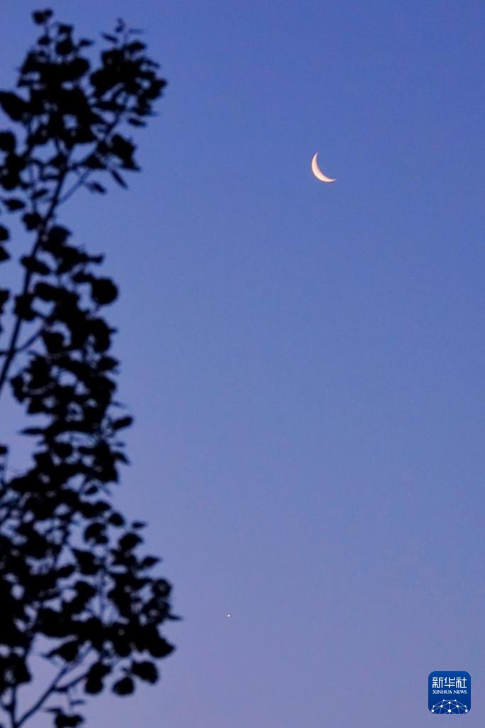 星空相册丨天宇凌晨上演金星伴月 星空相册丨天宇凌晨上演金星伴月