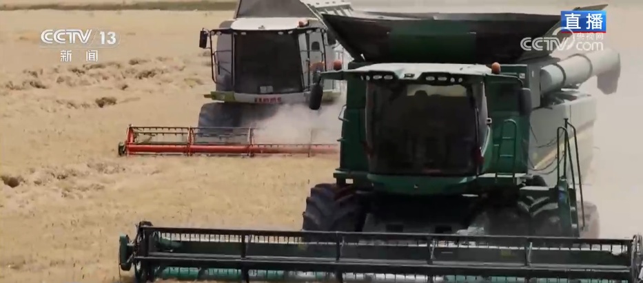 粮满仓、果飘香 希望的田野“智”绘三夏好“丰”光