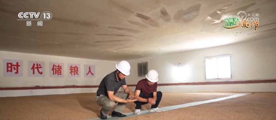 粮满仓、果飘香 希望的田野“智”绘三夏好“丰”光