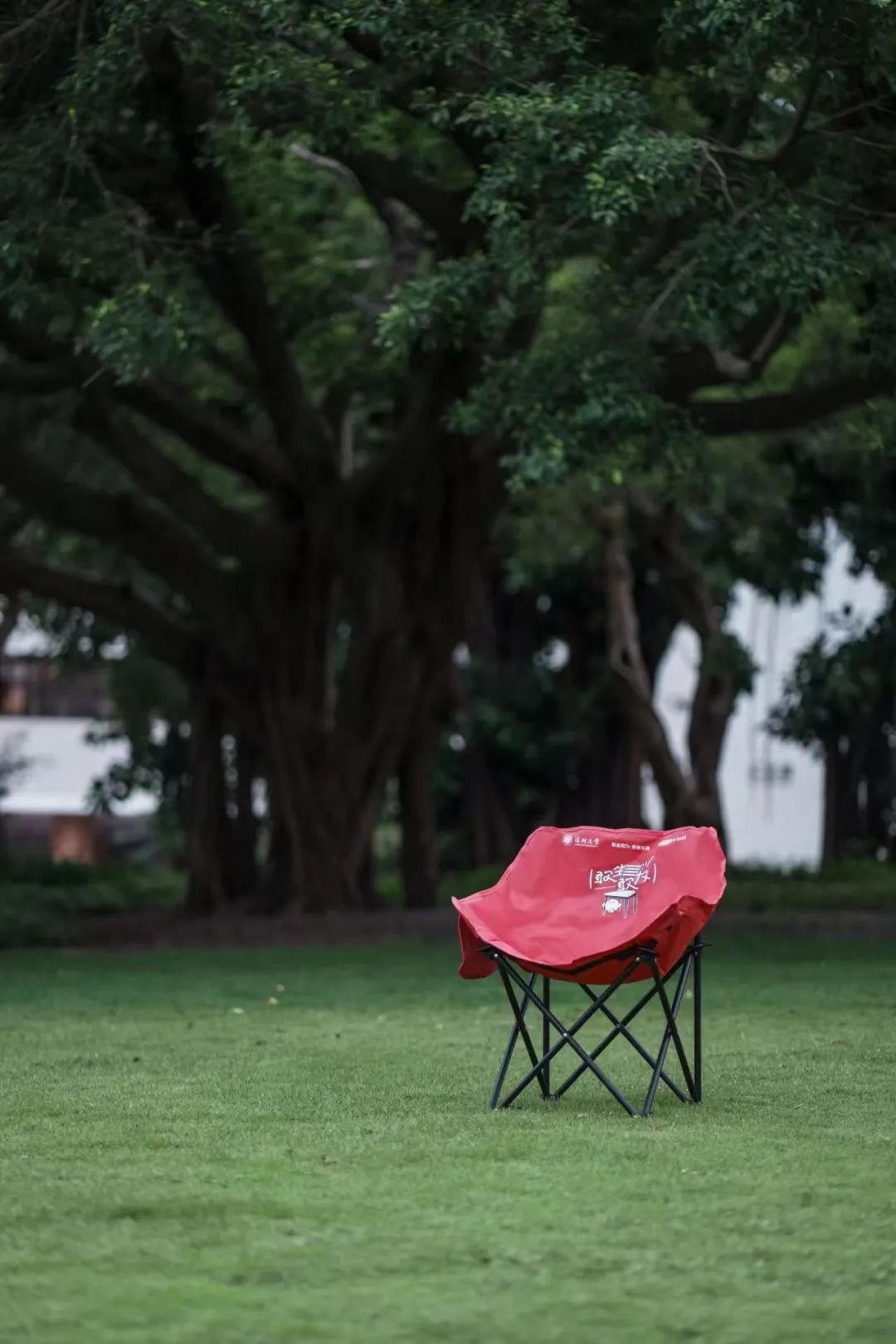 又到毕业季,各大高校的纪念品太拼了!网友:实名羡慕 又到毕业季,各大高校的纪念品太拼了!网友:实名羡慕