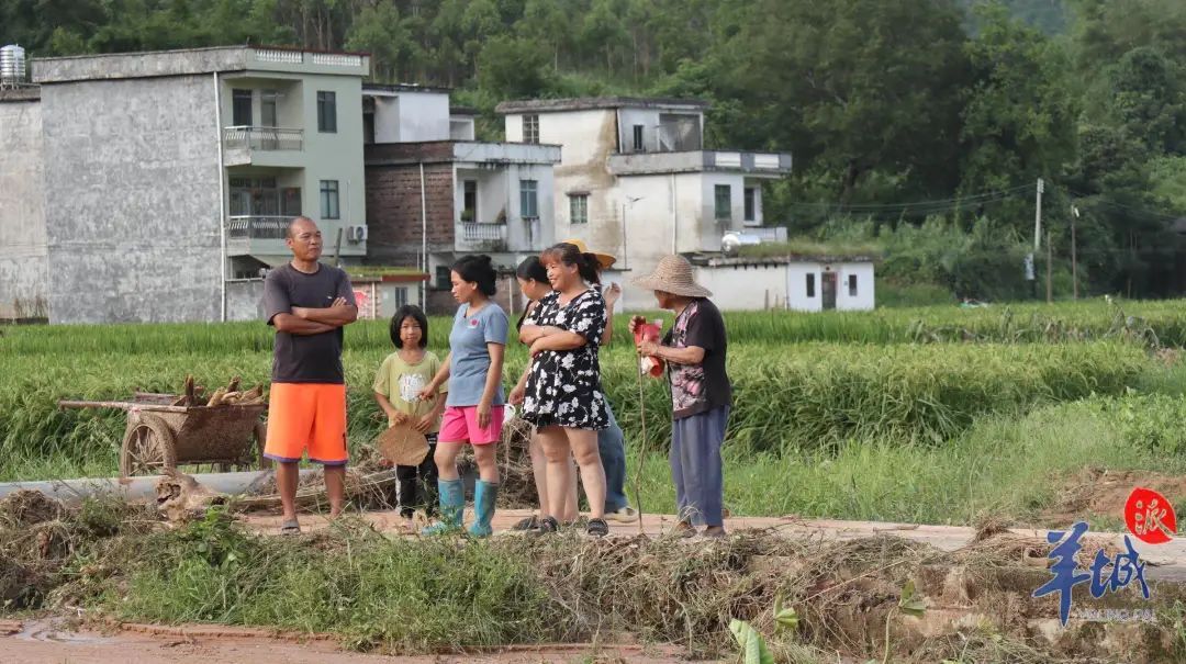 怀集蓝坑村被洪水突袭后72小时:村民守望相助,救援队挺进“孤村” 怀集蓝坑村被洪水突袭后72小时:村民守望相助,救援队挺进“孤村”