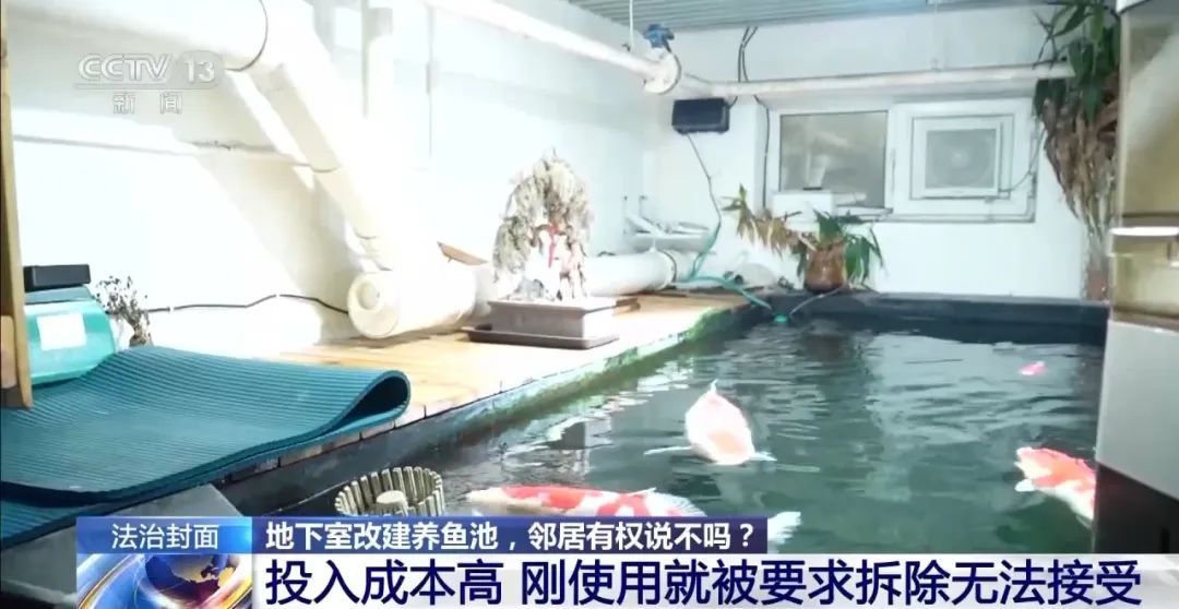 男子将地下室改成大鱼池,楼上邻居长期因噪音失眠!后续来了 男子将地下室改成大鱼池,楼上邻居长期因噪音失眠!后续来了