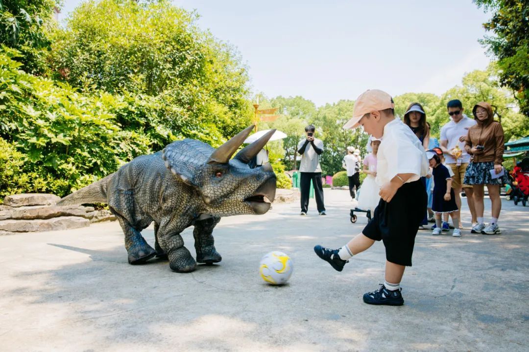 苏超累倒一只恐龙