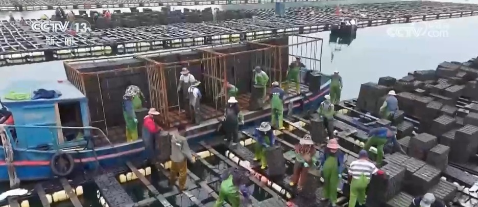 初夏时节渔货满仓 特色产业绘出乡村振兴好“丰”景 初夏时节渔货满仓 特色产业绘出乡村振兴好“丰”景