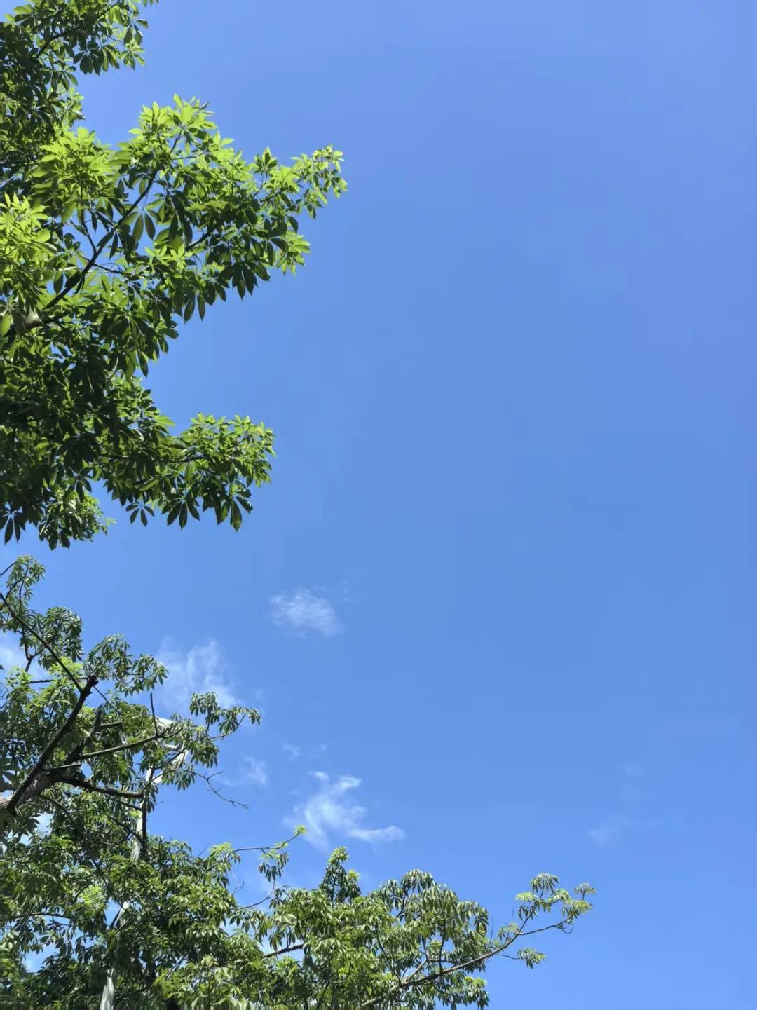 热热热!广东35℃高温上线,新台风也有消息了 热热热!广东35℃高温上线,新台风也有消息了