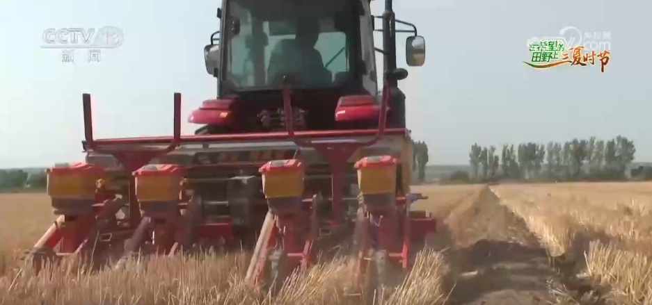 万物至盛 欣欣向荣 希望的田野上奏响丰收“欢歌” 万物至盛 欣欣向荣 希望的田野上奏响丰收“欢歌”