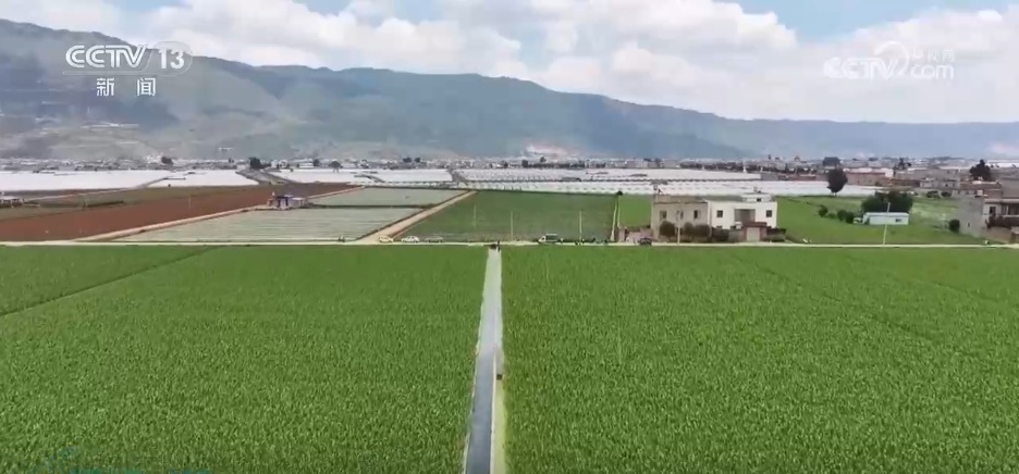 粮满仓、果飘香 希望的田野“智”绘三夏好“丰”光