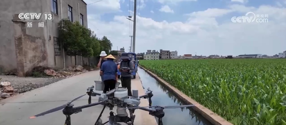 粮满仓、果飘香 希望的田野“智”绘三夏好“丰”光