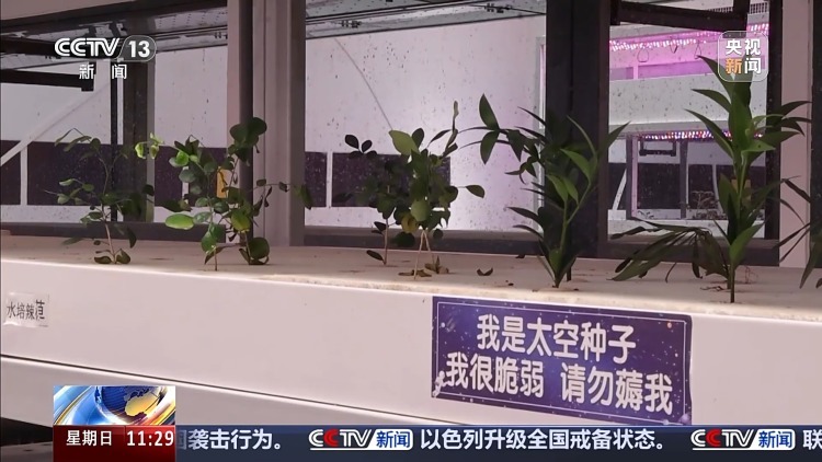 火星1号基地!“星际穿越”感拉满了 火星1号基地!“星际穿越”感拉满了