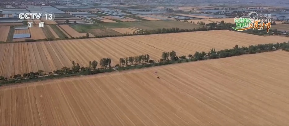 万物至盛 欣欣向荣 希望的田野上奏响丰收“欢歌” 万物至盛 欣欣向荣 希望的田野上奏响丰收“欢歌”