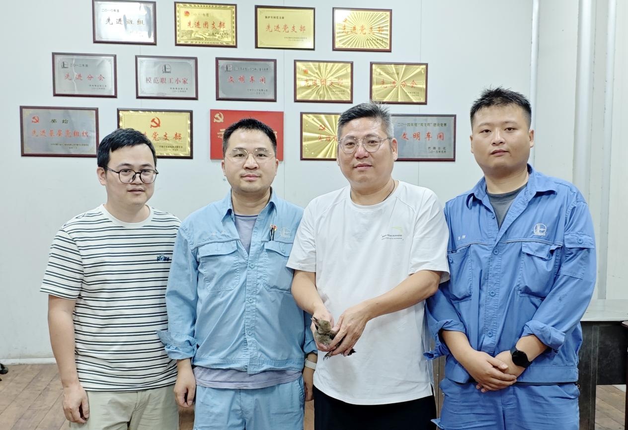 湖南岳阳救助一只国家二级保护动物松鸦 湖南岳阳救助一只国家二级保护动物松鸦