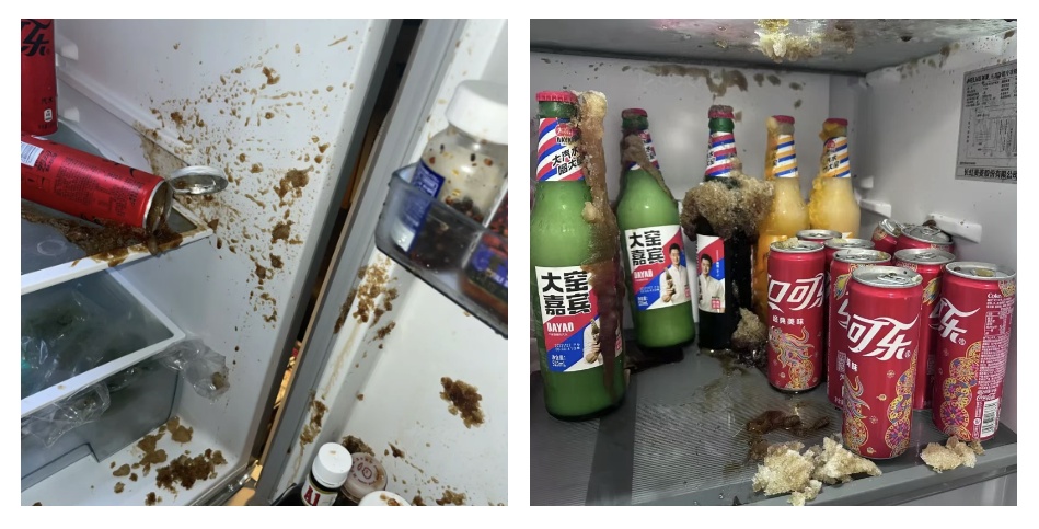 转给家人！这些东西放冰箱，可能变“炸弹”……