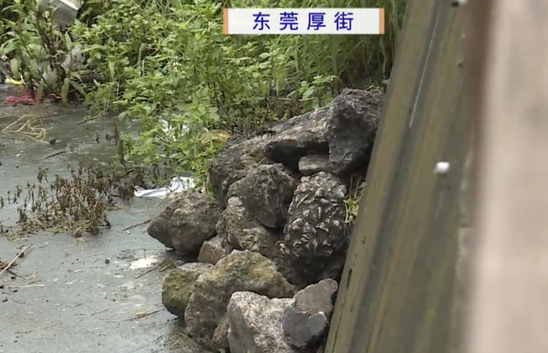 多人无视安全提醒，在东莞一水库排水口捕鱼！当地回应