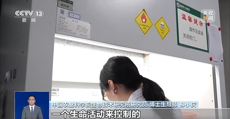 真相来了丨注射端粒酶基因可逆转衰老、永葆青春?谣言! 真相来了丨注射端粒酶基因可逆转衰老、永葆青春?谣言!