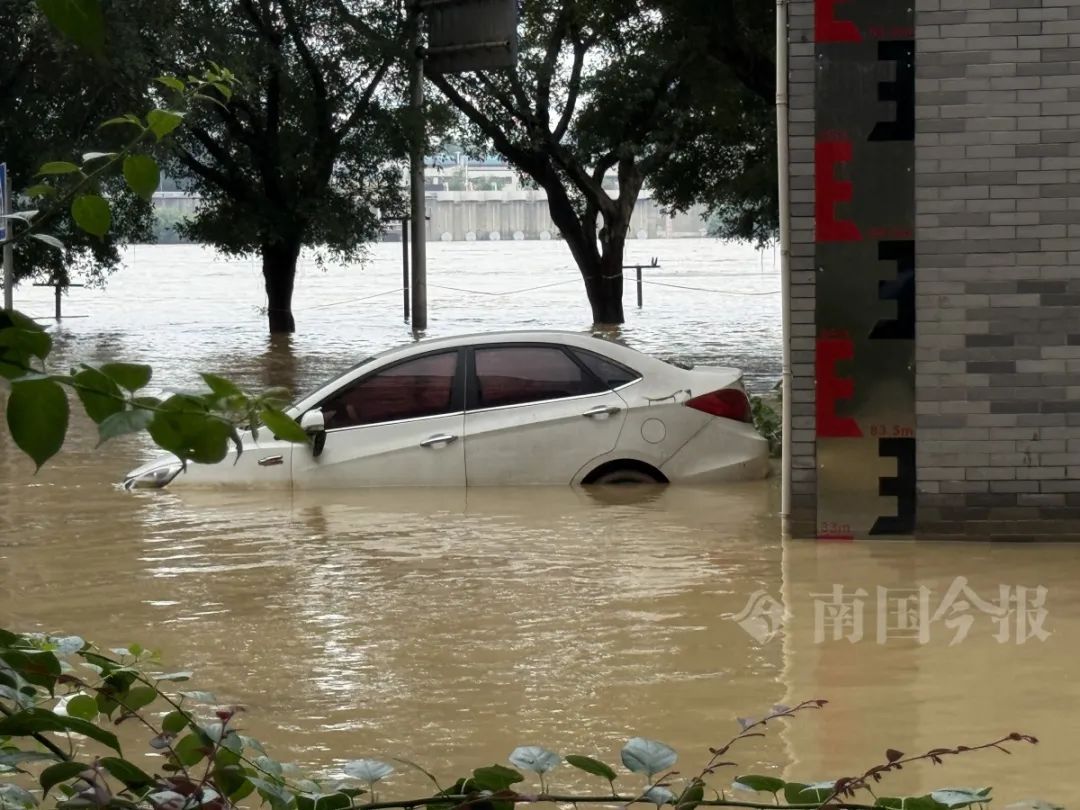 出现双洪峰后，柳江洪水退速缓慢！这些地方仍有暴雨、大暴雨……