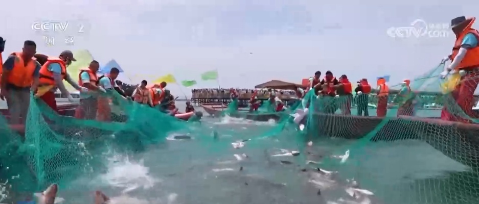 鱼满塘、粮满仓 智慧农业领跑“三夏” 绘就希望的田野好“丰”光 鱼满塘、粮满仓 智慧农业领跑“三夏” 绘就希望的田野好“丰”光