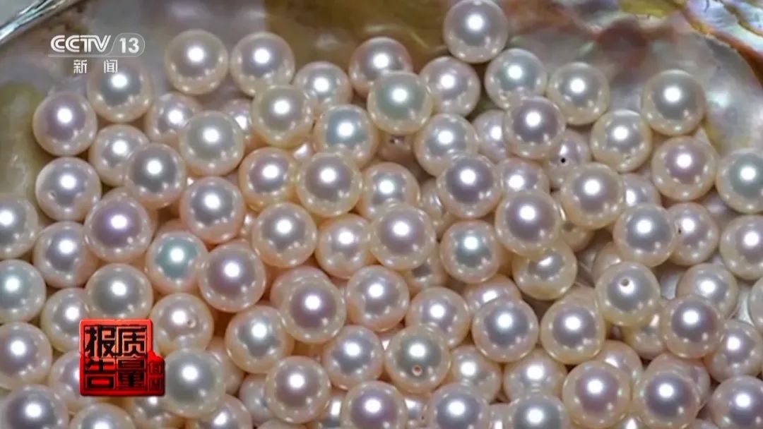 央视曝光:直播时让人心动的开蚌30秒,可能是主播设计的表演 央视曝光:直播时让人心动的开蚌30秒,可能是主播设计的表演