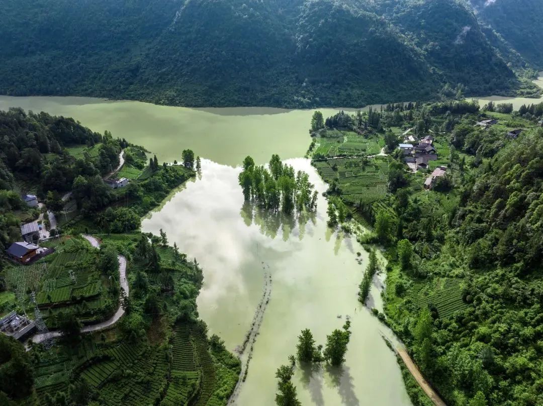 新台风生成!会影响上海吗?梅雨将“收敛”,周五冲击高温线 新台风生成!会影响上海吗?梅雨将“收敛”,周五冲击高温线
