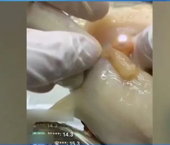 央视曝光:直播时让人心动的开蚌30秒,可能是主播设计的表演 央视曝光:直播时让人心动的开蚌30秒,可能是主播设计的表演