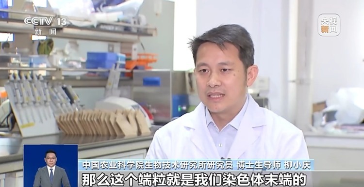 真相来了丨注射端粒酶基因可逆转衰老、永葆青春?谣言! 真相来了丨注射端粒酶基因可逆转衰老、永葆青春?谣言!