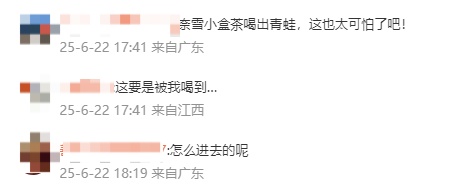 奈雪小盒茶内喝出整只青蛙?当事人:太恶心了,差点喝进嘴里 奈雪小盒茶内喝出整只青蛙?当事人:太恶心了,差点喝进嘴里