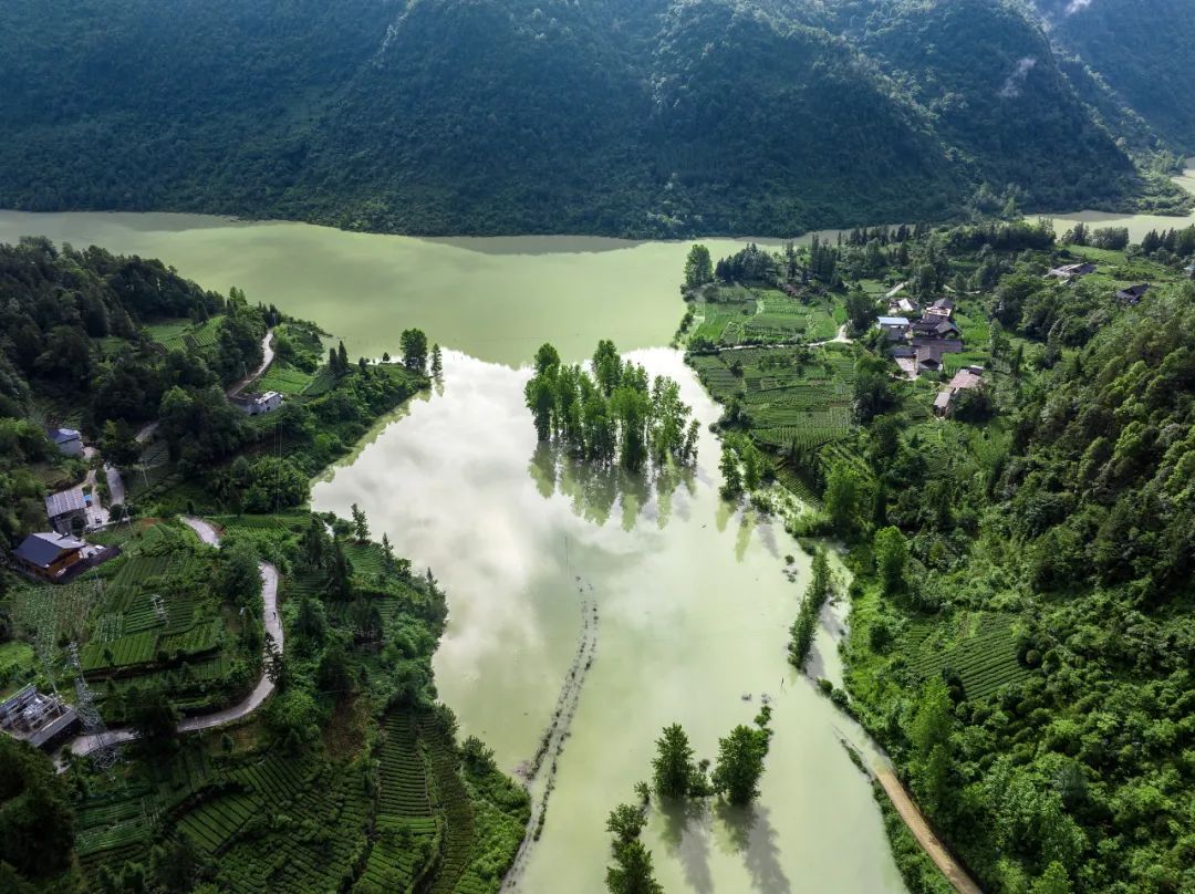 40℃要来了! 40℃要来了!