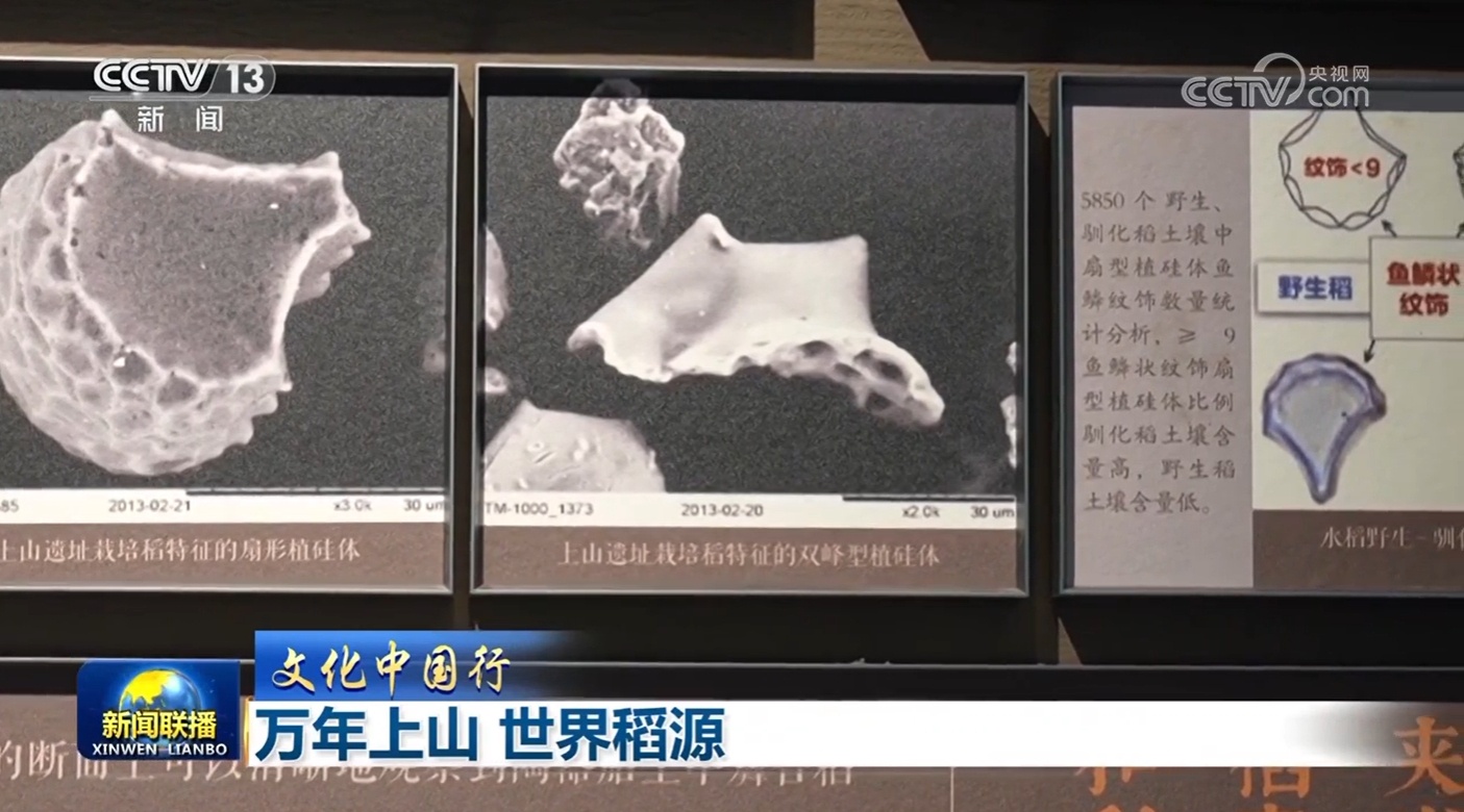 【文化中国行】万年上山 世界稻源 【文化中国行】万年上山 世界稻源