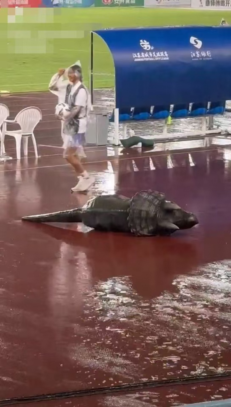 常州输球“小恐龙”被气晕抬走?恐龙园回应:系机械恐龙表演时故障 常州输球“小恐龙”被气晕抬走?恐龙园回应:系机械恐龙表演时故障