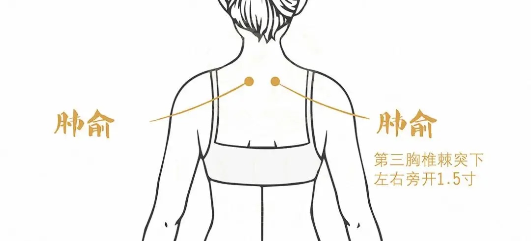 肺不好,长按这3个穴位!提升肺气不花钱 肺不好,长按这3个穴位!提升肺气不花钱