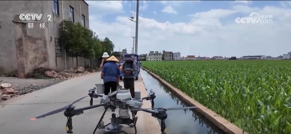 鱼满塘、粮满仓 智慧农业领跑“三夏” 绘就希望的田野好“丰”光 鱼满塘、粮满仓 智慧农业领跑“三夏” 绘就希望的田野好“丰”光