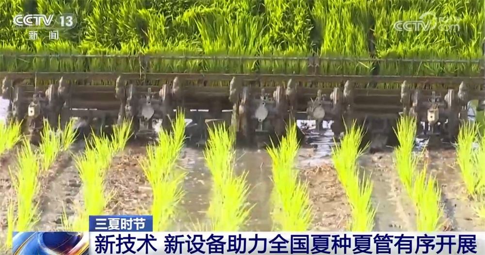 “新”潮澎湃勾勒活力“三夏耕作图” 田间地头满满“科技范儿”