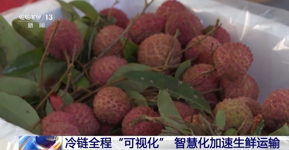 各地物流智能化升级 小包裹跑出了“加速度” 各地物流智能化升级 小包裹跑出了“加速度”