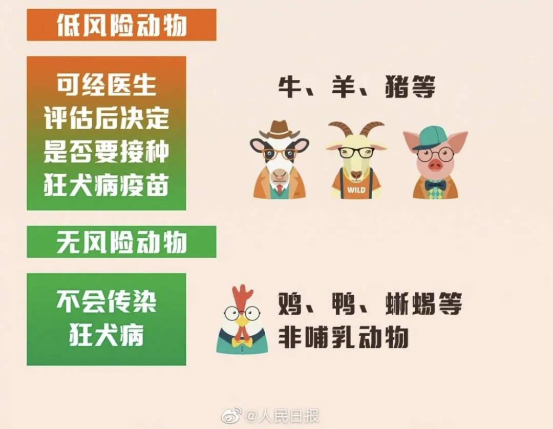 警惕!这种病潜伏期5天至数年,病死率近100%…… 警惕!这种病潜伏期5天至数年,病死率近100%……