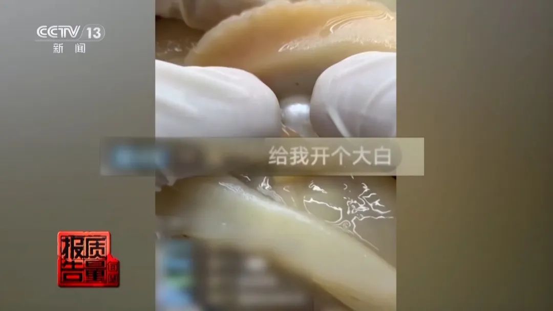 央视曝光:直播时让人心动的开蚌30秒,可能是主播设计的表演 央视曝光:直播时让人心动的开蚌30秒,可能是主播设计的表演