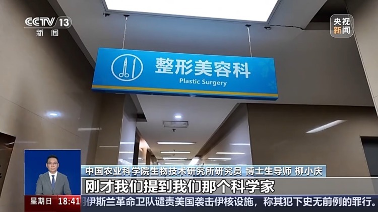 真相来了丨注射端粒酶基因可逆转衰老、永葆青春?谣言! 真相来了丨注射端粒酶基因可逆转衰老、永葆青春?谣言!
