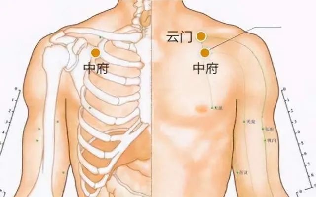 肺不好,长按这3个穴位!提升肺气不花钱 肺不好,长按这3个穴位!提升肺气不花钱