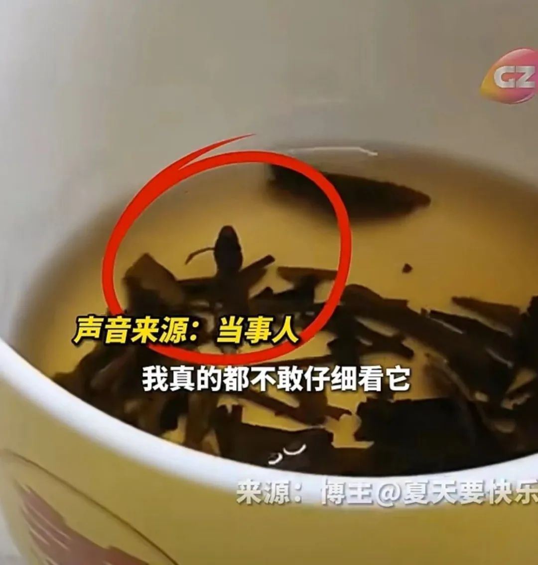奈雪小盒茶内喝出整只青蛙?当事人:太恶心了,差点喝进嘴里 奈雪小盒茶内喝出整只青蛙?当事人:太恶心了,差点喝进嘴里