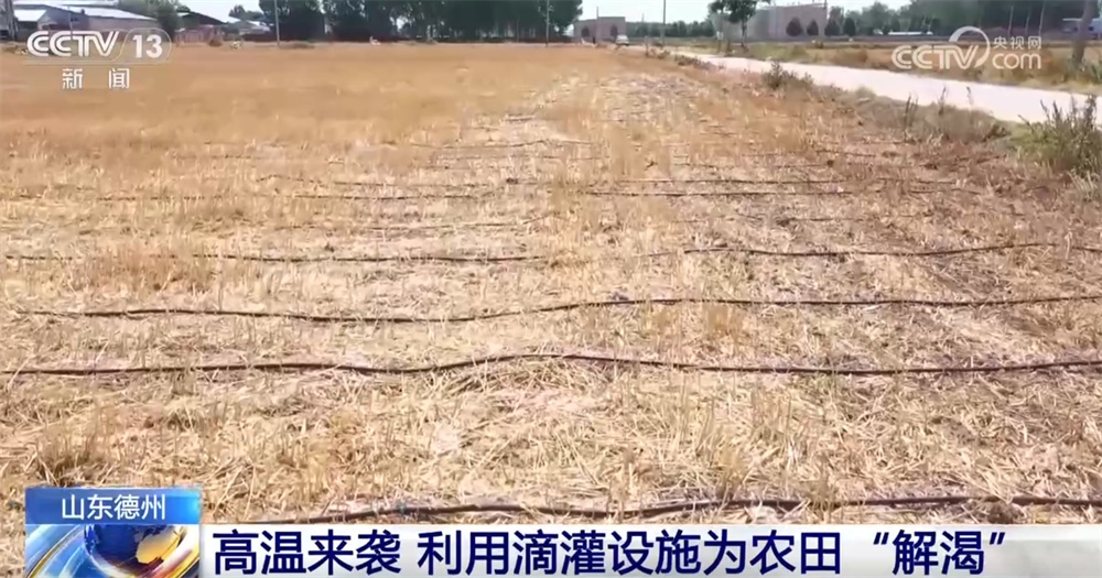 多地积极应对高温“烤”验保障民生 全力打好迎峰度夏“攻坚战” 多地积极应对高温“烤”验保障民生 全力打好迎峰度夏“攻坚战”