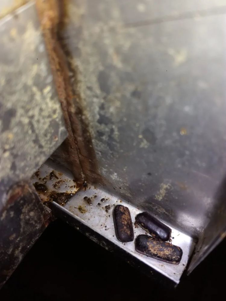 太恶心!杭州一男子家中惊现上百活虫,密密麻麻恶臭难闻!近期多人中招,紧急提醒! 太恶心!杭州一男子家中惊现上百活虫,密密麻麻恶臭难闻!近期多人中招,紧急提醒!