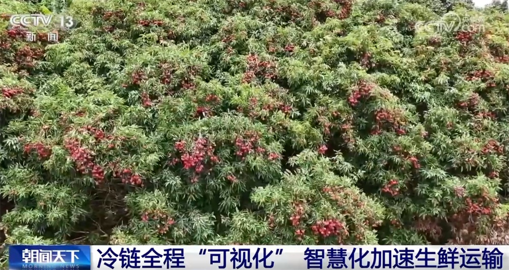 物流向“新”向“智”激活消费新潜能 小包裹跑出“加速度”助推物畅其流