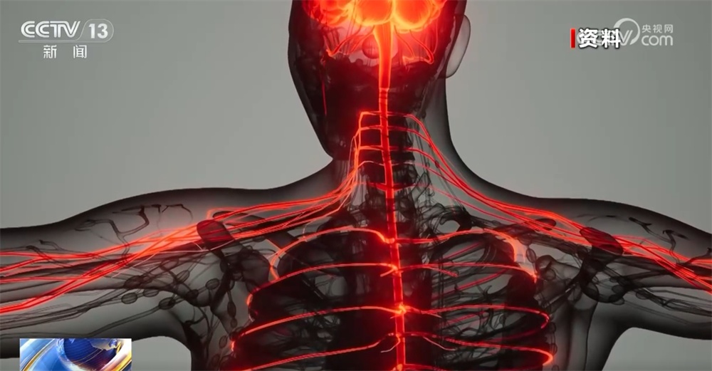 透过数据直击中国禁毒力度 织密筑牢防范成瘾性物质滥用思想防线