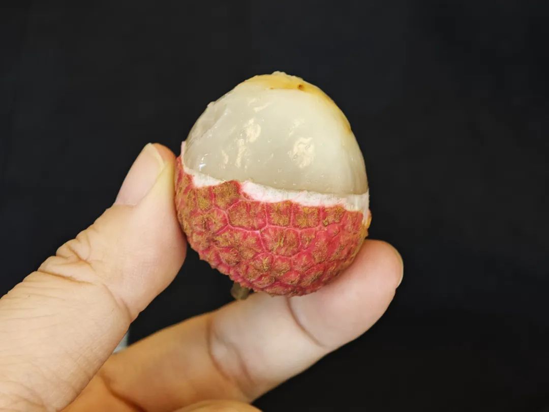 一颗荔枝三把火，荔枝壳煮水竟然是“下火良方”！