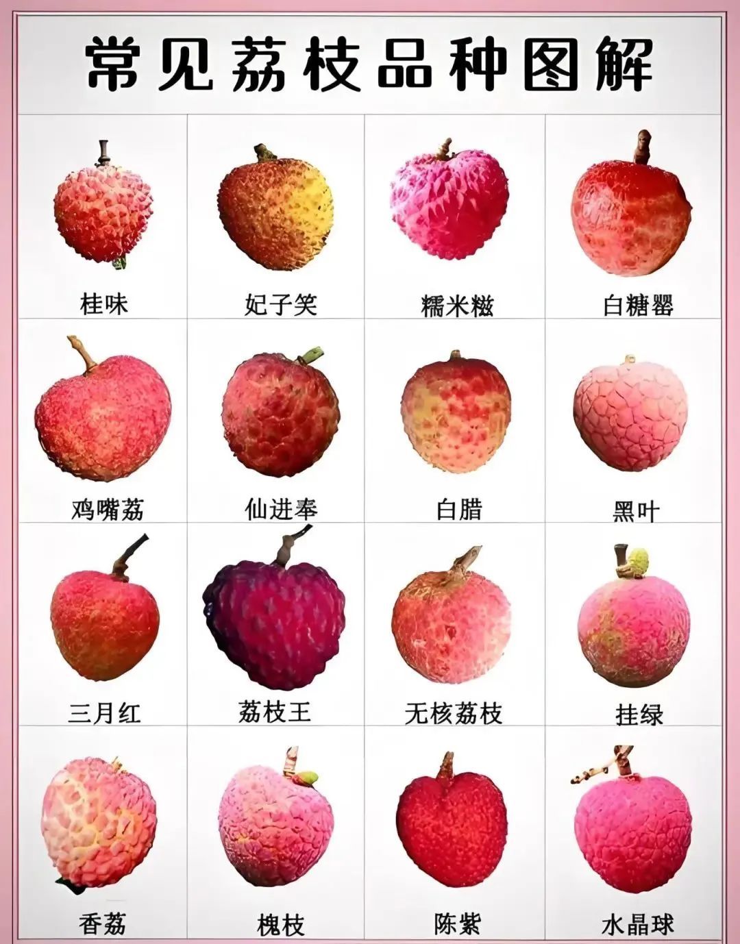 《长安的荔枝》没夸张，荔枝在古代真的超级名贵！